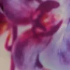 Amaya strapless chiffon maxi-jurk – ivoorkleurige Koi Orchid-print Amaya strapless chiffon maxi-jurk – ivoorkleurige Koi Orchid-print